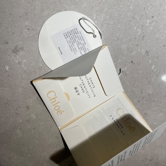 Chloe Nile Bag - Picture 9 of 10